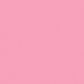 110N - 3760327831189 - MegaCrea - Flex Thermocollant UniFlex Nature Rose vif Feuille A4 - France - 2