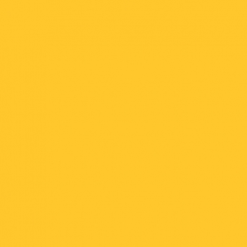 106N - 3760327831271 - MegaCrea - Flex Thermocollant UniFlex Nature Jaune doré Feuille A4 - France - 2