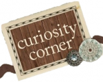 Curiosity Corner